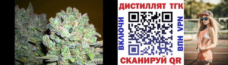 ТГК жижа  Бородино 