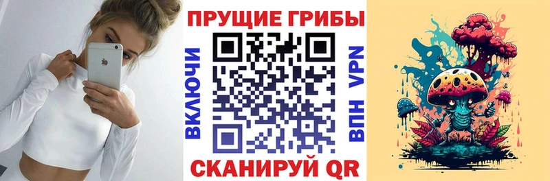 Галлюциногенные грибы прущие грибы  как найти   Бородино 
