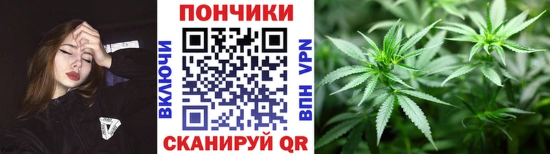 Бошки марихуана OG Kush  дарк нет формула  Бородино 